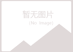 香港夏槐机械有限公司